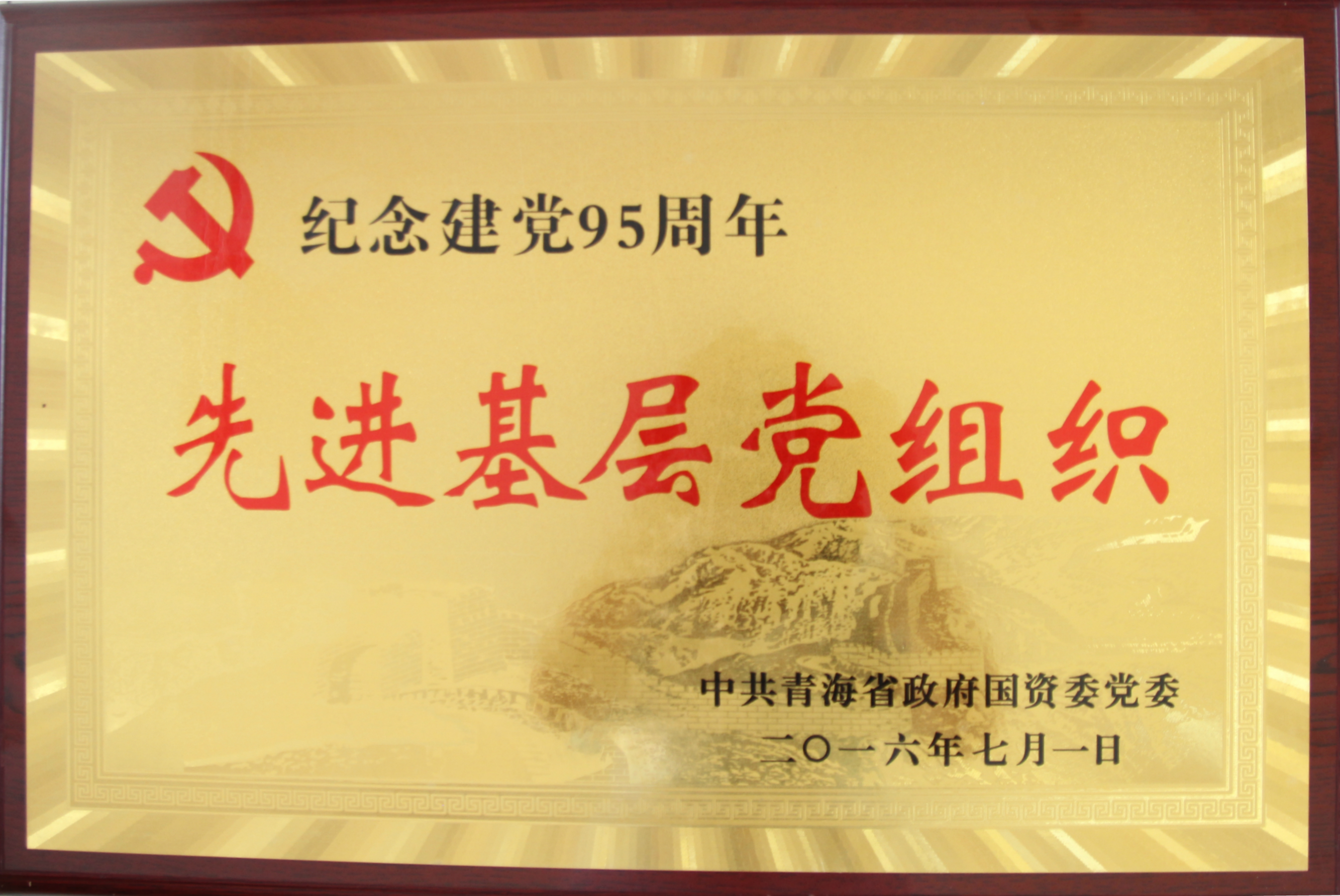 国资委先进基层党组织(2016.7)